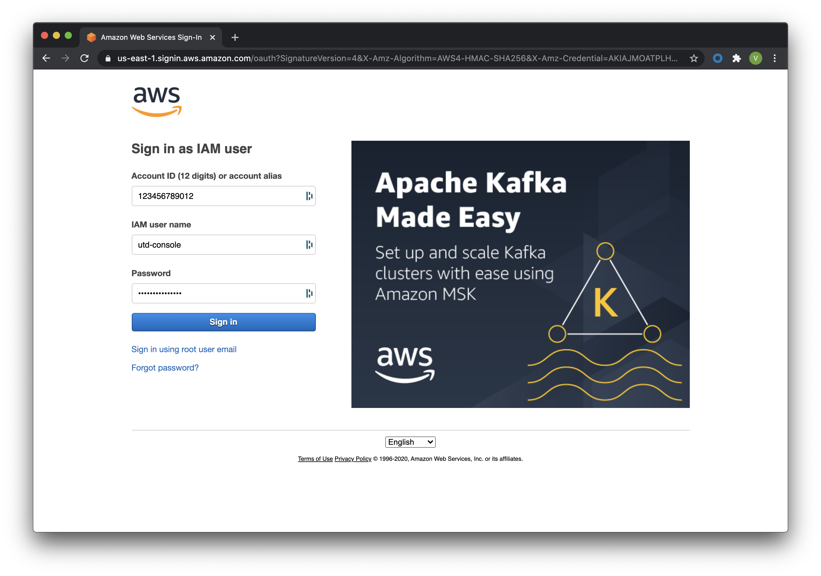 ../../_images/aws-iam-console-access.png